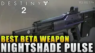 Best Weapon in Destiny 2 Beta - Destiny 2 Beta Best PvP Weapon 