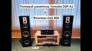 Топовые колонки Dali 800 на усилителе Yamaha DSP-A1 &ndash; любительский обзор от Макса
