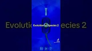Evolution of Species 2 spore mobile online