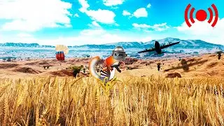 СТАРАЯ ГВАРДИЯ В ДЕЛЕ | СТРИМ surviv.io
