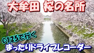 4K 2022 大牟田 桜 C125で行くまったりドライブレコーダー 大牟田市 高泉～歴木～下白川～白川～三池～田隈～三池～下白川～荒尾 Gopro