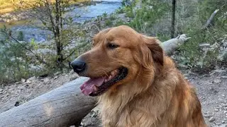 Episode 38: Fall break in Broken Bow