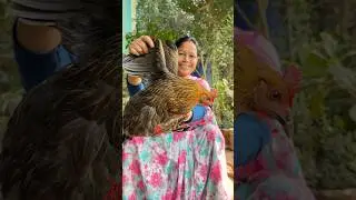 ব্রোকলি দিয়ে দেশি মুরগির রান্না 🥦🐓 #banglaranna #villagestylecooking #shorts #viral #desichicken