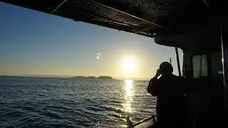 Fishing Charter at Batemans Bay - Nov 2017