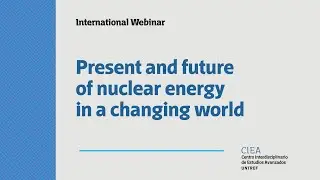 Present and future of nuclear energy in a changing world
