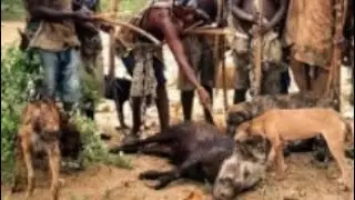Hadzabe Panda  Wild Hunter Way of Village Cooking in the African Bush! 🍖#cooking #viral#food