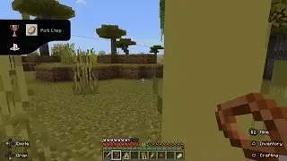 Porkchops Anyone?