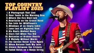 Country Music Instrumental Fiddle Tunes for Family Gatherings and Friendly Reunions