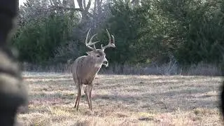Rut Hunt with Hard Core's Ole Jack Deer Decoy