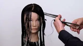 Chandelier Layering cutting technique  Lange lagen kniptechniek  Face framing layering step by step