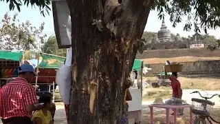 မြောက်ဦးက ပြည်သူနှစ်သောင်းခန့် တိုက်ပွဲသတင်းကြောင့် ကြိုတင်ထွက်ပြေးနေရ