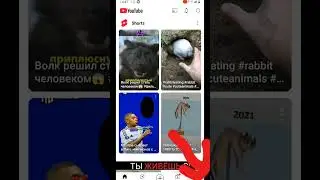 Сегодня я покажу как создать ютуб канал!!