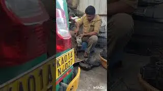 Bajaj auto bs6 2024 model timing chain sound
