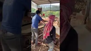 Machine peeling work sawmill 🪵| Plywood making process 🌲👌|