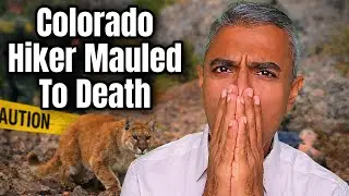 Colorado Woman Mauled to Death in Rare Mountain Lion Attack