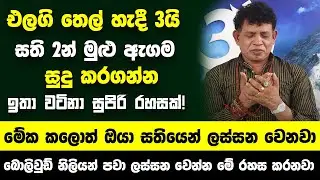 එලගි තෙල් එක හැන්න්දකින් සති 2න් මුළු ඇගම සුදු කරගන්න සුපිරි රහසක්! - මේක කලොත් ඔයා ලස්සන වෙනවා