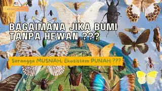 BAGAIMANA JIKA BUMI TANPA HEWAN ? Serangga Musnah Ekosistem Punah  #catatananimals