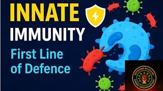 Immunity and Its Types | Innate Immunity Explained | NEET Biology