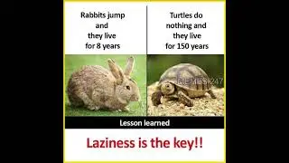 Funny Memes That Will Make You Laugh (#619)| Relatable Memes | Funny Picture Memes😃 #shorts