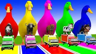 Long Slide Game With Cow Elephant Gorilla Hippopotamus Tiger 3d Animal Game Funny 3d Animals
