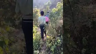 mini tracking vlog in jungle🏞️