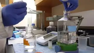 Blood vessel decellularization lab