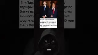 #remix #music #funk #avee_player #мем #шуточное #phonkmusic #cat #мемас #юмор