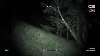 Outlast 2 FU#K YOU LYNN / GLITCH