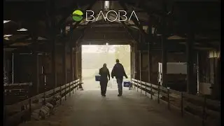 #1 BAOBA Teaser