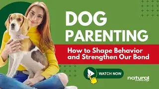 Dog Parenting: How to Shape Behavior and Strengthen Our Bond