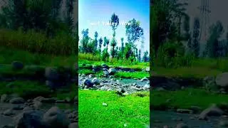Magical Swat Valley, Pakistan 🌄 | Scenic Beauty Unseen #Swat #PakistanTravel #shorts