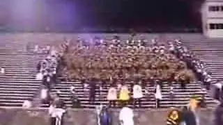 Bama St Band playing 