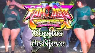 ESTRENO 2024 SONIDO FAMOSO SAN JUAN TIANGUISMANALCO LOS COPITOS DE NIEVE