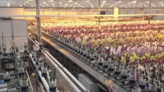 Potplanten sorteren met 3D