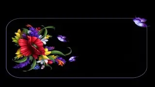 Sticky Navigation Bar on Scroll using HTML & CSS | Fixed Navbar on Scroll