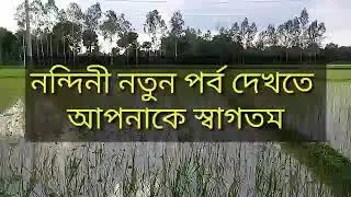 nandini dekaar niyom