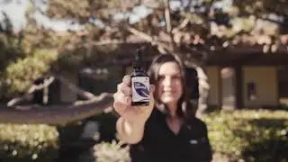 Medterra CBD