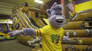 Meet Monkey Joe - The Best Monkey Around