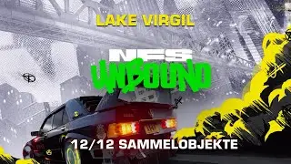 Need For Speed Unbound Lake Virgil - Alle B&auml;ren, Plakatw&auml;nde und Street Art Fundorte