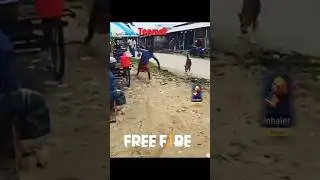 #freefire my teamet 🤣