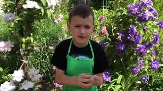 Готовим шашлык из Перепелки. Человек Паук Щенячий патруль Леди Баг. ДЛЯ ДЕТЕЙ