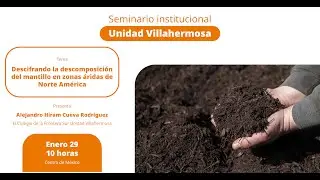 Descifrando la descomposición del mantillo en zonas áridas de Norte América.