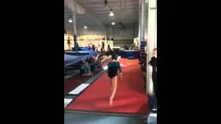Whitley 8.25 Vault