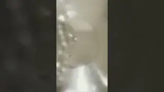 10 de setembro de 2025