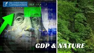 The United Nations calls for a new economic accounting system that includes nature.