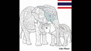 Top 5 Countries National Animals Mobile Game painting.