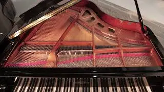 Edelweiss PianoDisc iQ Player System Demonstration:  Elton John - Your Song