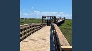 The simple Life