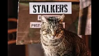Stalkers
