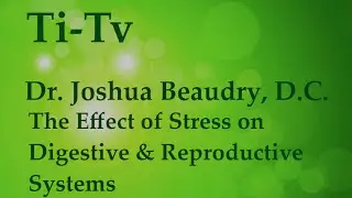 Dr. Joshua Beaudry, D.C. - The Effect of Stress on Digestive and Reproductive Systems